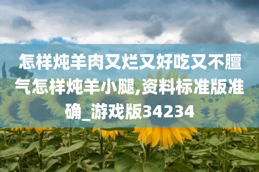 怎样炖羊肉又烂又好吃又不膻气怎样炖羊小腿,资料标准版准确_游戏版34234