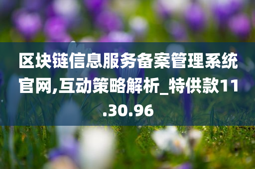 区块链信息服务备案管理系统官网,互动策略解析_特供款11.30.96