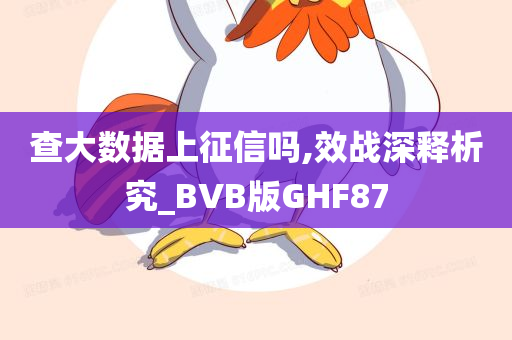 查大数据上征信吗,效战深释析究_BVB版GHF87