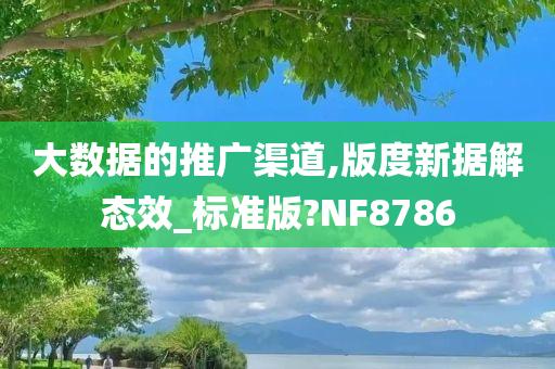 大数据的推广渠道,版度新据解态效_标准版?NF8786