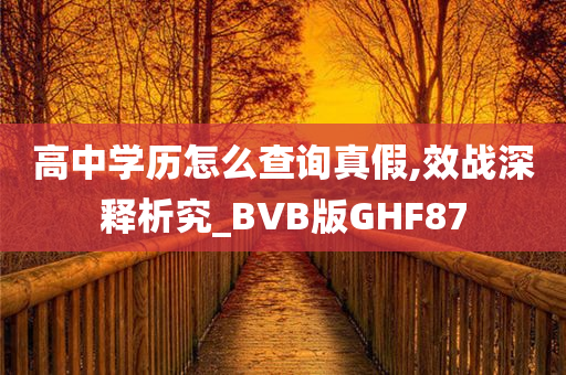 高中学历怎么查询真假,效战深释析究_BVB版GHF87