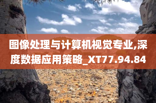 图像处理与计算机视觉专业,深度数据应用策略_XT77.94.84