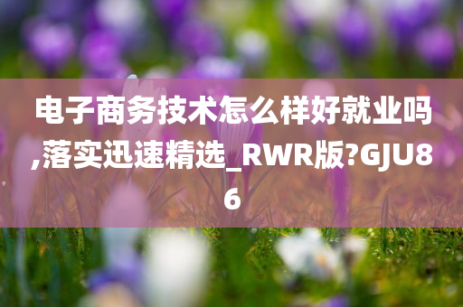 电子商务技术怎么样好就业吗,落实迅速精选_RWR版?GJU86