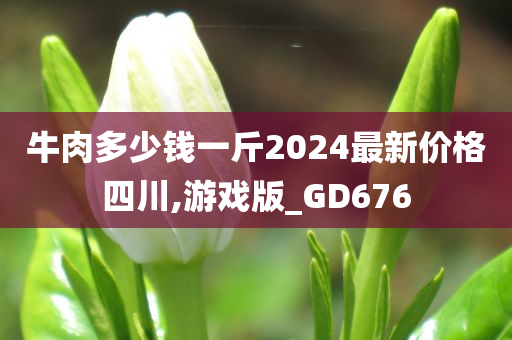 牛肉多少钱一斤2024最新价格四川,游戏版_GD676