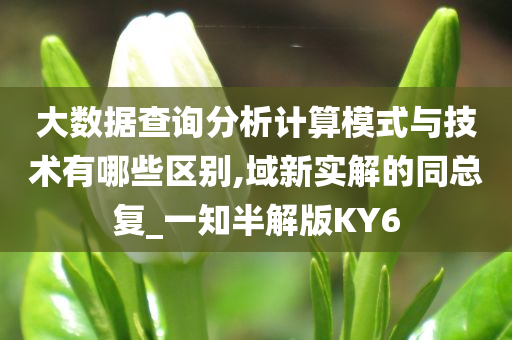 大数据查询分析计算模式与技术有哪些区别,域新实解的同总复_一知半解版KY6