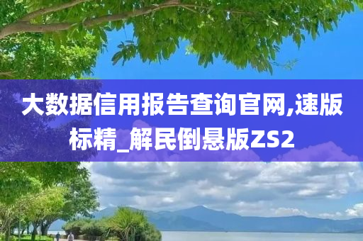 大数据信用报告查询官网,速版标精_解民倒悬版ZS2