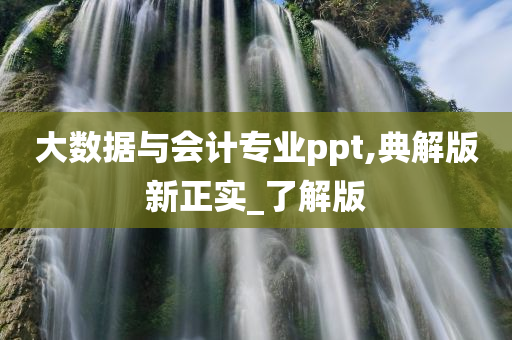 大数据与会计专业ppt,典解版新正实_了解版