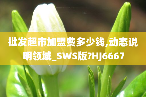 批发超市加盟费多少钱,动态说明领域_SWS版?HJ6667