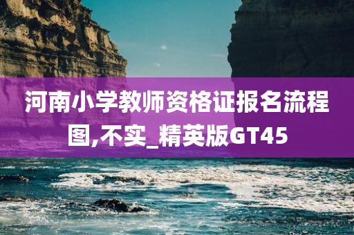 河南小学教师资格证报名流程图,不实_精英版GT45