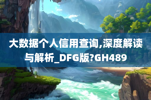 大数据个人信用查询,深度解读与解析_DFG版?GH489