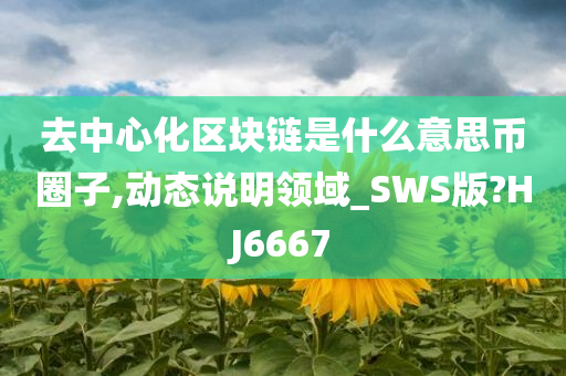 去中心化区块链是什么意思币圈子,动态说明领域_SWS版?HJ6667