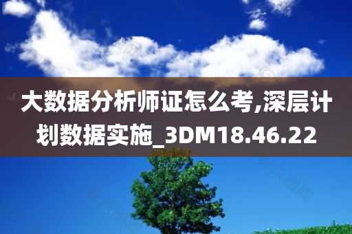 大数据分析师证怎么考,深层计划数据实施_3DM18.46.22