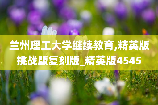 兰州理工大学继续教育,精英版挑战版复刻版_精英版4545