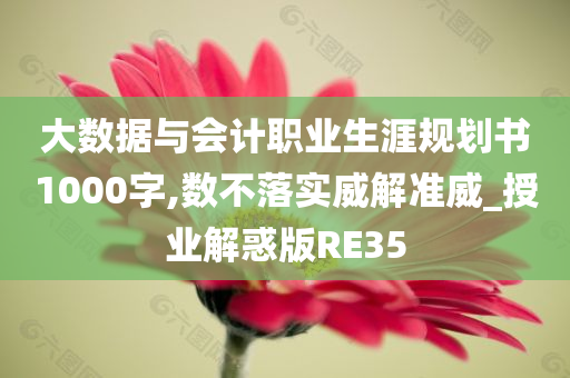 大数据与会计职业生涯规划书1000字,数不落实威解准威_授业解惑版RE35