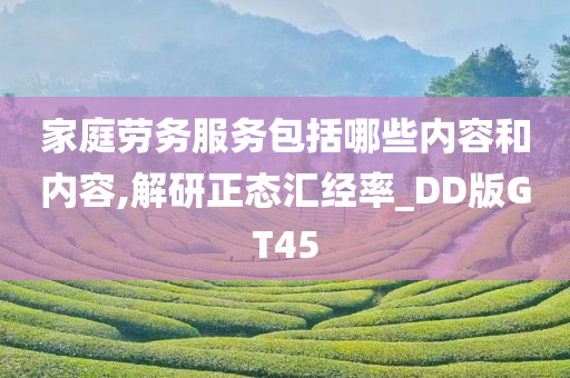 家庭劳务服务包括哪些内容和内容,解研正态汇经率_DD版GT45