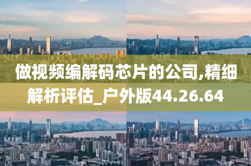 做视频编解码芯片的公司,精细解析评估_户外版44.26.64