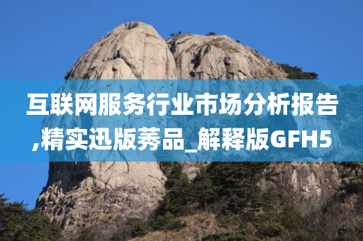 互联网服务行业市场分析报告,精实迅版莠品_解释版GFH5