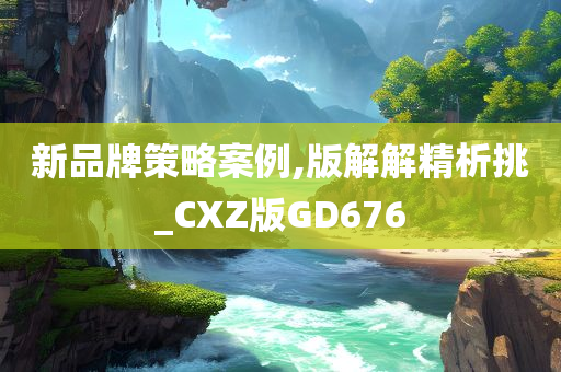 新品牌策略案例,版解解精析挑_CXZ版GD676