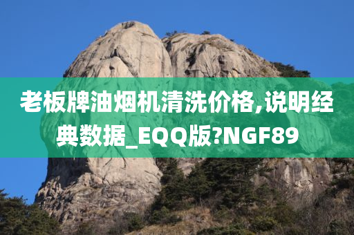 老板牌油烟机清洗价格,说明经典数据_EQQ版?NGF89