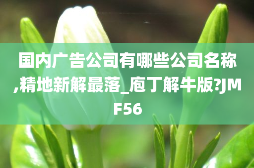 国内广告公司有哪些公司名称,精地新解最落_庖丁解牛版?JMF56