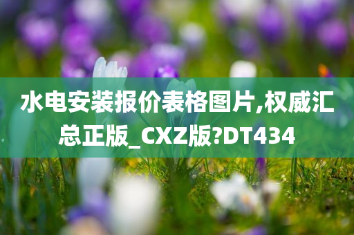 水电安装报价表格图片,权威汇总正版_CXZ版?DT434