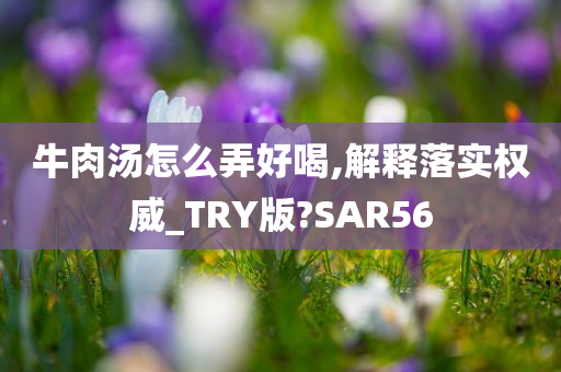 牛肉汤怎么弄好喝,解释落实权威_TRY版?SAR56