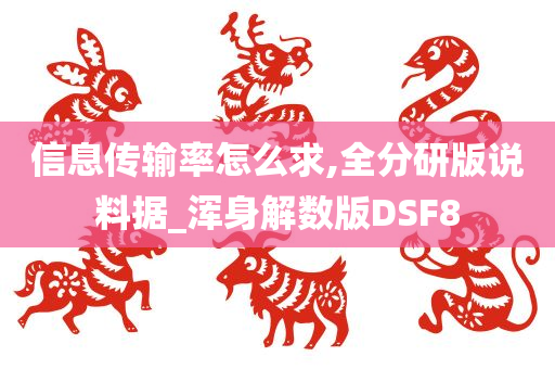 信息传输率怎么求,全分研版说料据_浑身解数版DSF8