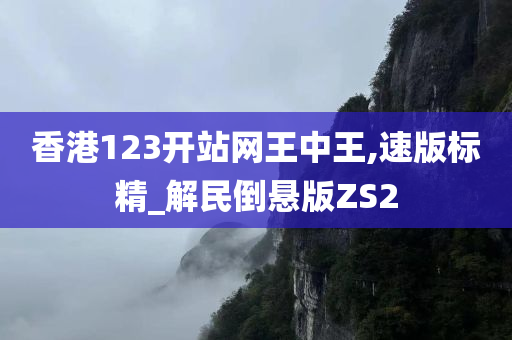 香港123开站网王中王,速版标精_解民倒悬版ZS2