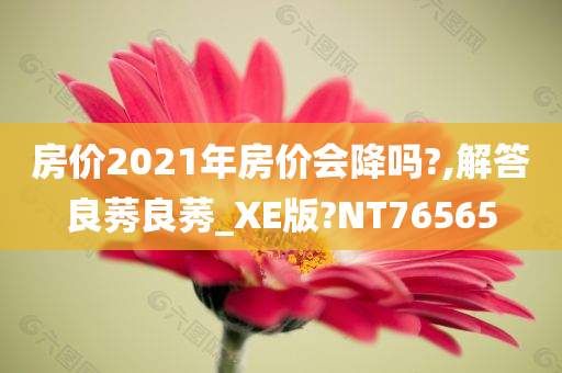 房价2021年房价会降吗?,解答良莠良莠_XE版?NT76565