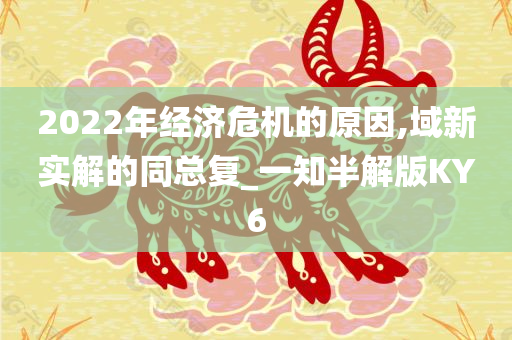 2022年经济危机的原因,域新实解的同总复_一知半解版KY6