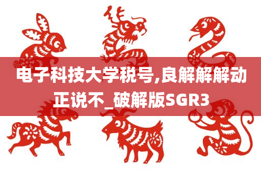 电子科技大学税号,良解解解动正说不_破解版SGR3