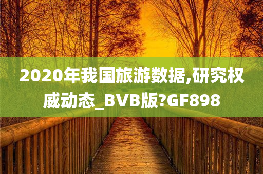 2020年我国旅游数据,研究权威动态_BVB版?GF898