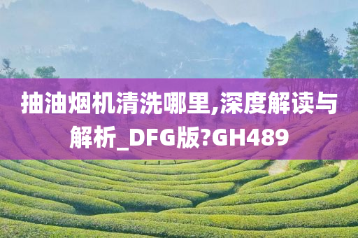 抽油烟机清洗哪里,深度解读与解析_DFG版?GH489