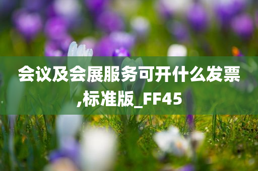 会议及会展服务可开什么发票,标准版_FF45