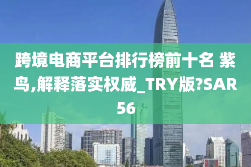 跨境电商平台排行榜前十名 紫鸟,解释落实权威_TRY版?SAR56