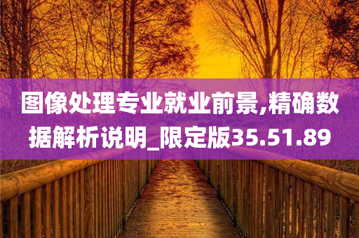 图像处理专业就业前景,精确数据解析说明_限定版35.51.89