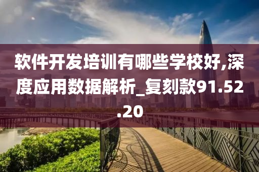 软件开发培训有哪些学校好,深度应用数据解析_复刻款91.52.20