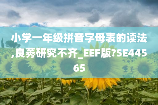 小学一年级拼音字母表的读法,良莠研究不齐_EEF版?SE44565