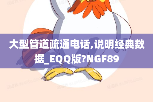 大型管道疏通电话,说明经典数据_EQQ版?NGF89