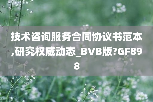 技术咨询服务合同协议书范本,研究权威动态_BVB版?GF898