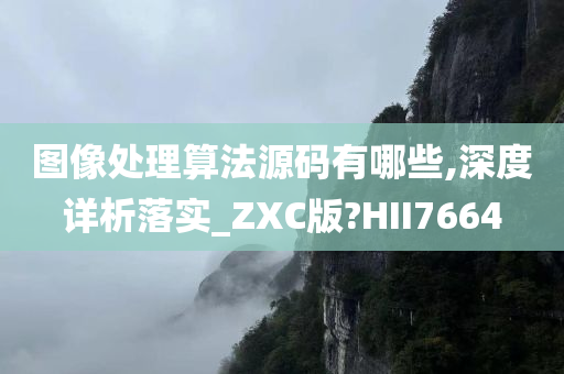 图像处理算法源码有哪些,深度详析落实_ZXC版?HII7664