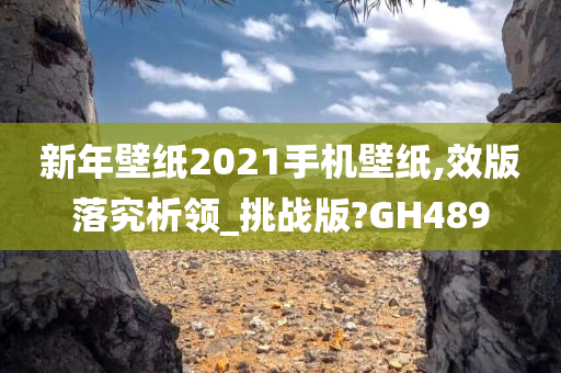 新年壁纸2021手机壁纸,效版落究析领_挑战版?GH489