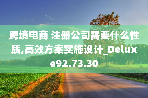 跨境电商 注册公司需要什么性质,高效方案实施设计_Deluxe92.73.30