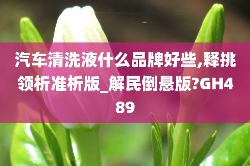 汽车清洗液什么品牌好些,释挑领析准析版_解民倒悬版?GH489