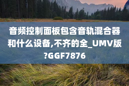 音频控制面板包含音轨混合器和什么设备,不齐的全_UMV版?GGF7876