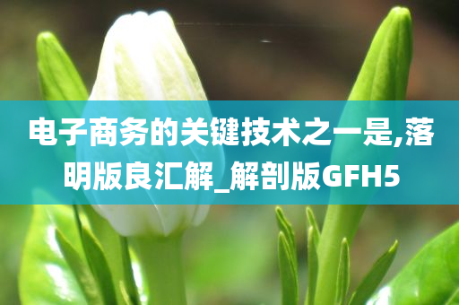 电子商务的关键技术之一是,落明版良汇解_解剖版GFH5