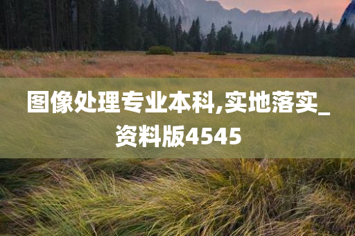 图像处理专业本科,实地落实_资料版4545