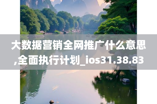 大数据营销全网推广什么意思,全面执行计划_ios31.38.83