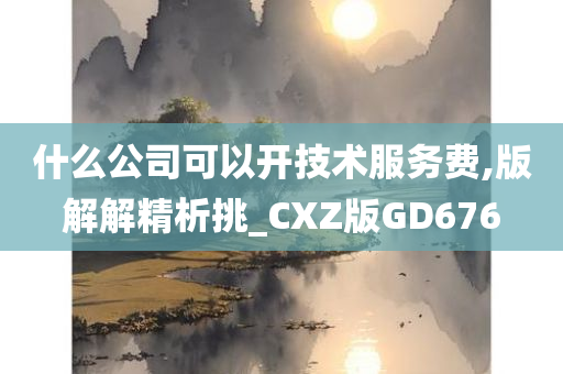 什么公司可以开技术服务费,版解解精析挑_CXZ版GD676