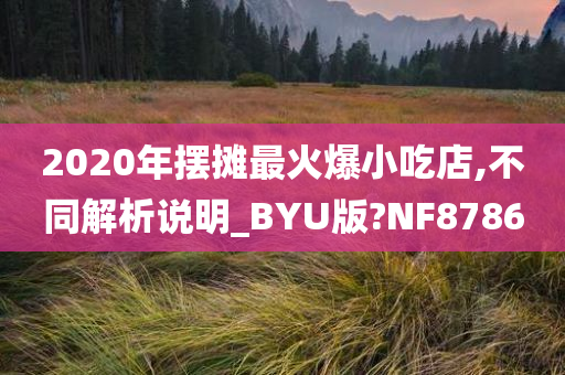 2020年摆摊最火爆小吃店,不同解析说明_BYU版?NF8786